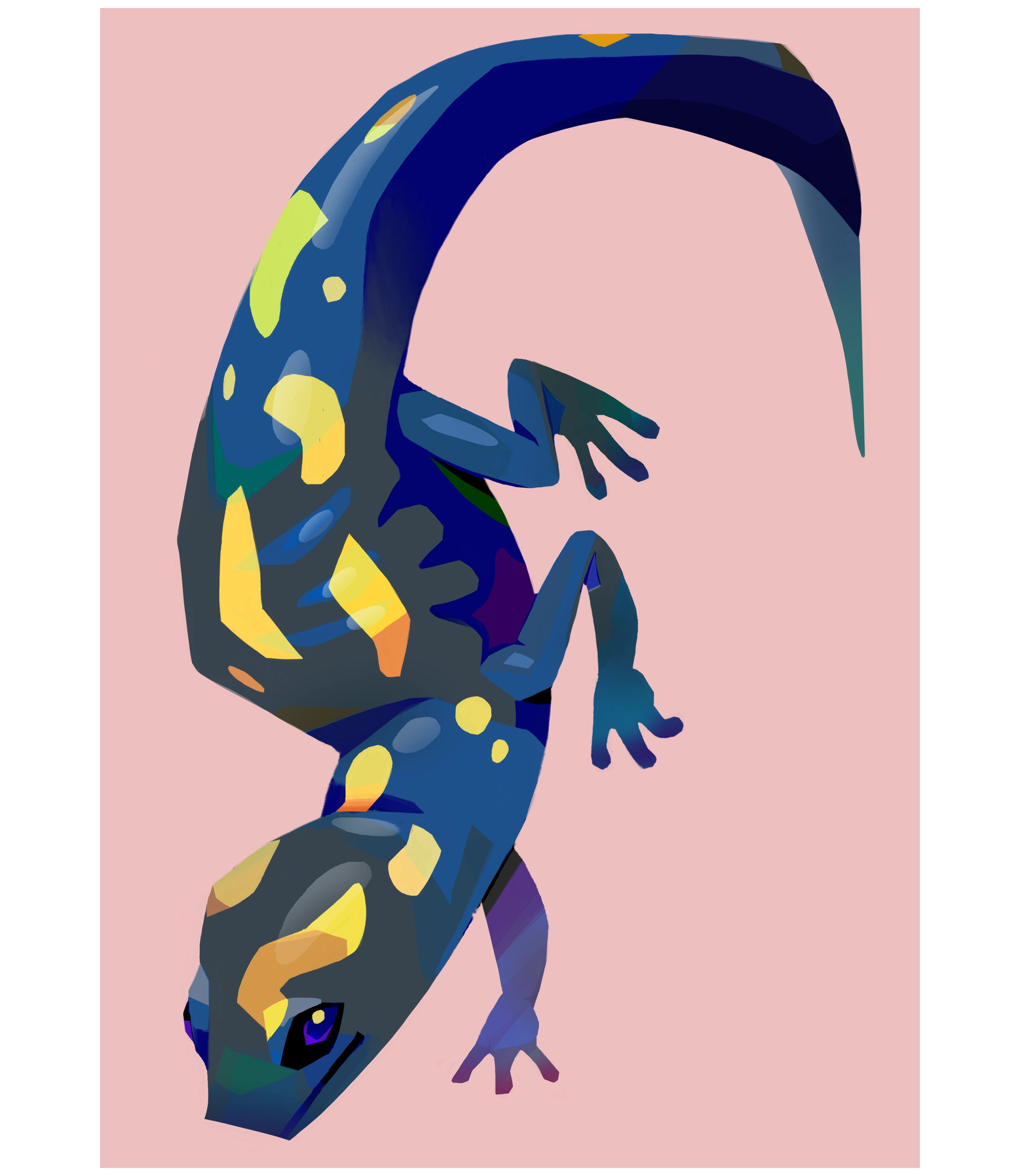 Salamander